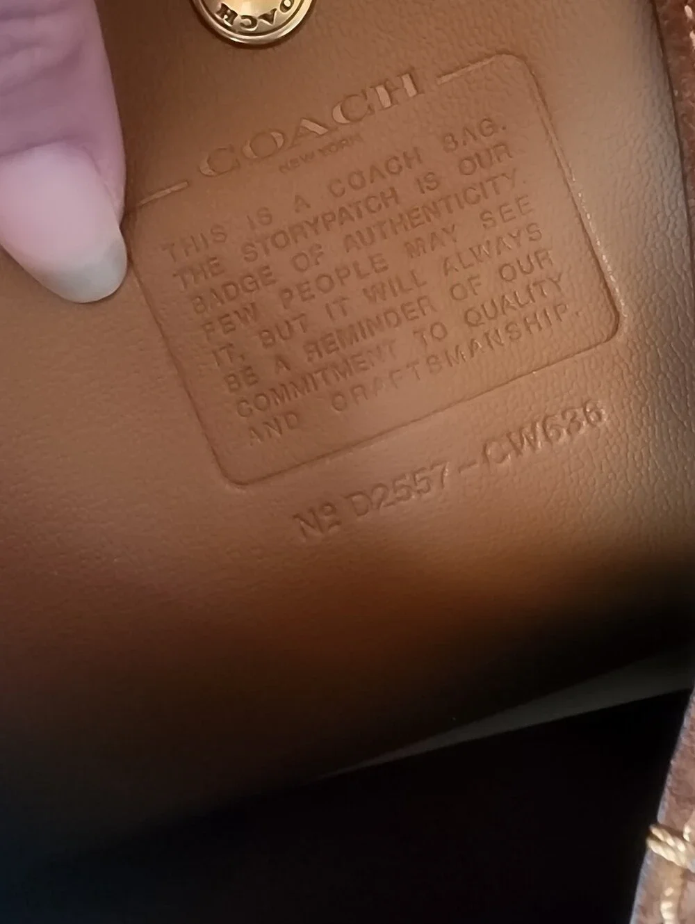 Coach this bag